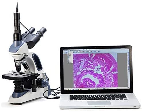 Swift SW380T Microscopio Trinocular Compuesto 40X-2500X Aumentos, Cabezal Siedentopf, Platina Mecánica de Doble Capa, con Cámara de 1.3MP y Software Compatible con Windows/Mac