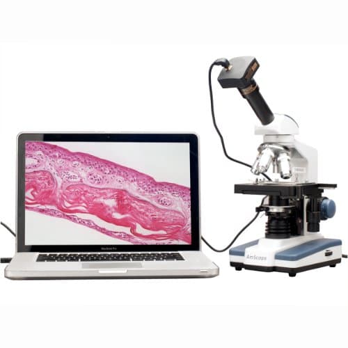 AmScope M620B-10M Microscopio Compuesto Monocular Digital Oculares WF10X y WF20X 40X-2000X Aumento Iluminación LED de Campo Claro Condensador Abbe Platina Mecánica 110V Incluye Cámara de 10 MP con Lente de Reducción y Software