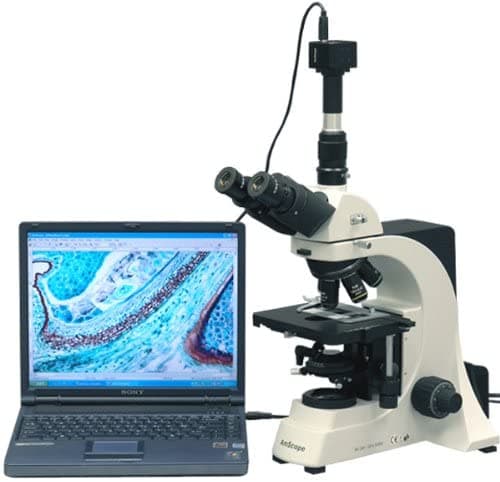 AmScope T700D-5M Microscopio Trinocular Compuesto Digital Profesional 40X-2500X de ampliación, oculares PL10X, WH20X y WH25X Super-Widefield, revólver quíntuple con 5 objetivos Plan Infinity, brightfield, condensador Köhler, platina mecánica de doble capa, incluye cámara de 5 MP con lente de reducción y software