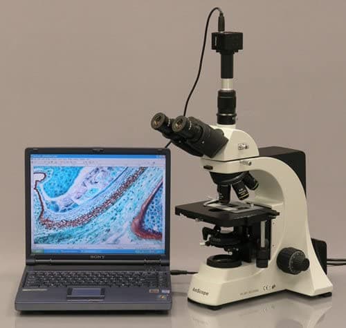 AmScope T700A-9M Microscopio Trinocular Compuesto Digital Profesional 40X-1500X de ampliación, oculares PL10X y WH15X Super-Widefield, revólver quíntuple con 5 objetivos Plan Infinity, brightfield, condensador Köhler, platina mecánica de doble capa, incluye cámara de 9 MP con lente de reducción y software