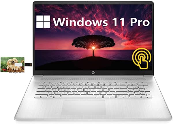 Hp Portátil Empresarial Con Pantalla Táctil Hd De 17.3 Pulgadas Amd Ryzen 5-5500U Windows 11 Pro 16 Gb De Ram Ssd De 512 Gb +Disco Duro De 1 Tb Teclado Numérico Hdmi Wi-Fi Bluetooth Cámara Web Tarjeta Usb Durlyfish De 32 Gb HP 17