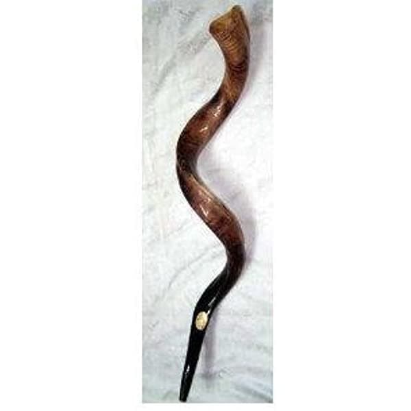 46"-50" Shofar Kosher Yemenite Pulido Alta Calidad Hechas En + Libres Bolsa De Israel