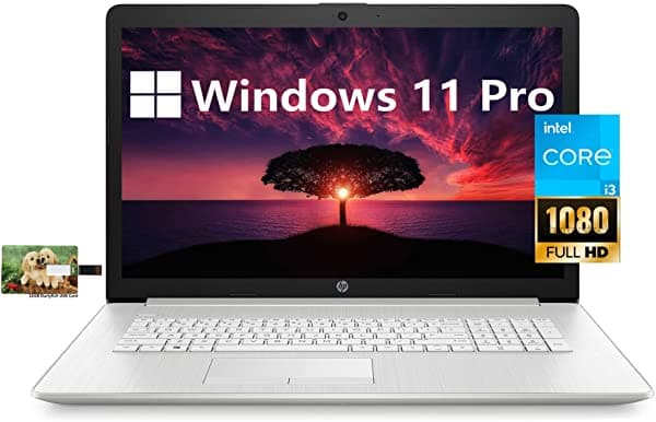 Hp Computadora Portátil De 17 Negocios Intel Core I3-1115G4 De 17.3 Pulgadas Pantalla Fhd De 11 Pro 8 Gb De Ram De 256 Gb Ssd Hdmi Wi-Fi Bluetooth Cámara Web Tarjeta Usb Durlyfish De 32 Gb HP 17