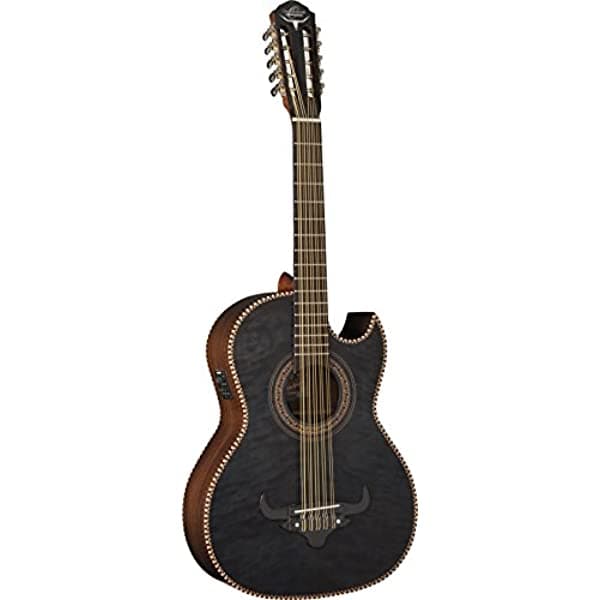 Oscar Schmidt OH32SE - Bajo quinto electroacústico de 10 cuerdas con funda acolchada de lujo, para diestros, trans negro acolchado (OH32SEQTB-O)