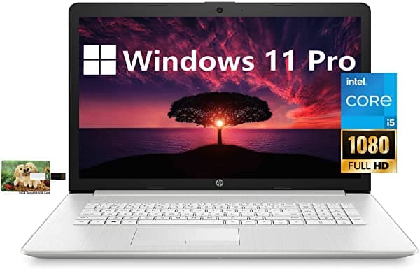 Hp Computadora Portátil Empresarial 17 Intel Core I5-1135G7 De 11.ª Generación Pantalla Ips Fhd De 17.3 Pulgadas Windows 11 Pro 12 Gb De Ram Ssd De 256 Gb + Disco Duro De 1 Tb Teclado Retroiluminado Wi-Fi 6 Bluetooth Cámara Web Tarjeta Usb Durlyfish De 32 Gb ‎HP 17