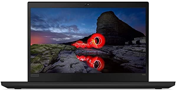 Lenovo 20Nj000Us Ts Thinkpad T495 5 3500U 0.07 Oz Syst 8Gb 1X256Gbsdd 14In W10P 64Bit 20NJ0000US