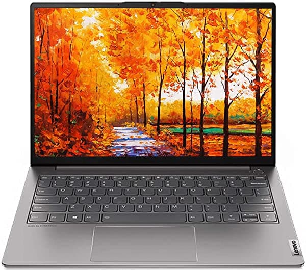 Lenovo Thinkpad T490 14" Full Hd Fhd (1920 X 1080) Portátil Empresarial (Intel Quad-Core I7-8565U 16 Gb Ddr4 1 Tb Pcie Ssd) Retroiluminado Thunderbolt 3 Huella Dactilar Type-C Windows 10 Pro+Ist 500 Gb