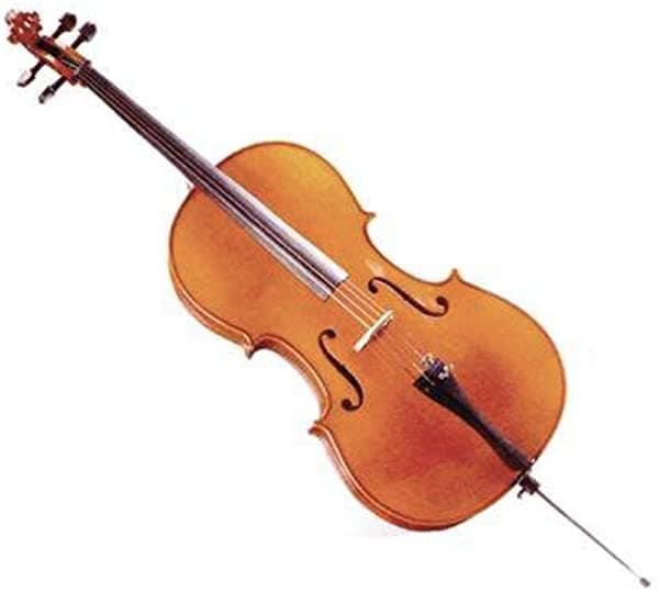 D Z Strad - Violonchelo (1/4 - Tamaño)