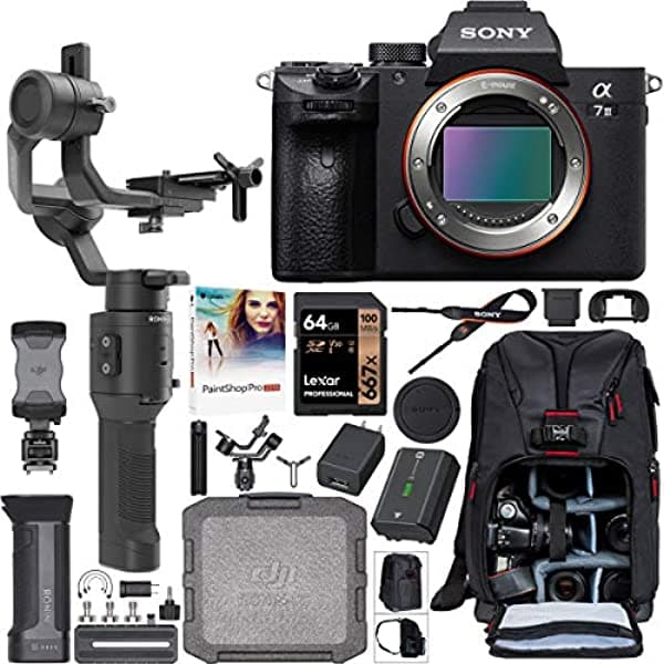 Sony A7Iii Cámara Sin Espejo Ilce-7M3 Kit De Cineasta Con Dji Ronin-Sc 3 Ejes De Mano Gimbal Stabilizer Bundle + Deco Photo Backpack Case + 64Gb Card + Corel Paintshop Pro Software E75SNILCE7M3