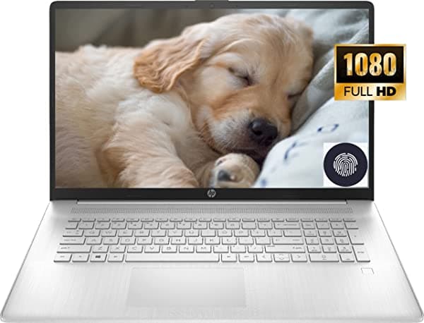HP 17.3 Pulgadas FHD IPS Pantalla Notebook Para Negocios Procesador AMD Ryzen 5 5500U Windows 10 Pro 12GB De RAM SSD De 256GB Wi-Fi Bluetooth Cámara Web Lector De Huellas Dactilares