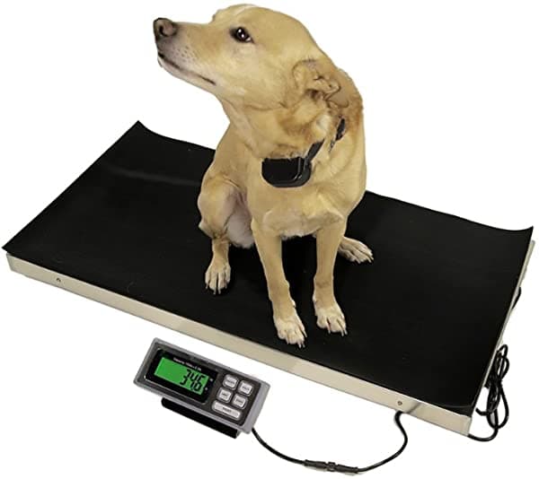 LLC | LW Measurements Vet Ganado Pet Platform Veterinary Escala 700 Lbs 1 LVS700