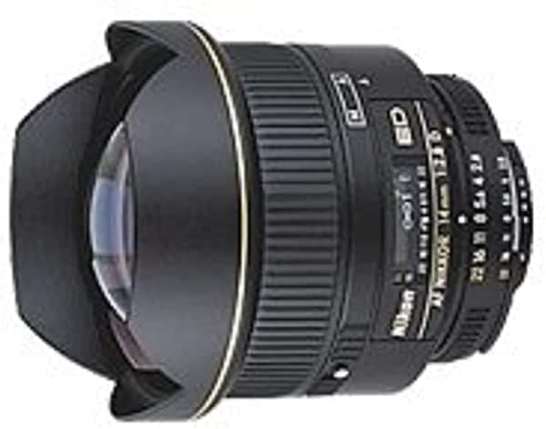 Nikon AF FX NIKKOR 14mm f/2.8D ED Lente Ultra Gran Angular de Focal Fija con Enfoque Automático para Cámaras DSLR Nikon 1925