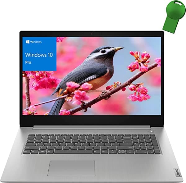 Lenovo IdeaPad 3 14 de 14 Pulgadas FHD Notebook Empresarial Intel Quad-Core i7-1165G7 Hasta 4.7GHz 8GB DDR4 RAM 1TB PCIe SSD WiFi 6 Bluetooth 5.1 Arctic Grey Windows 11 Pro iPuzzl Type-C Hub 3 17