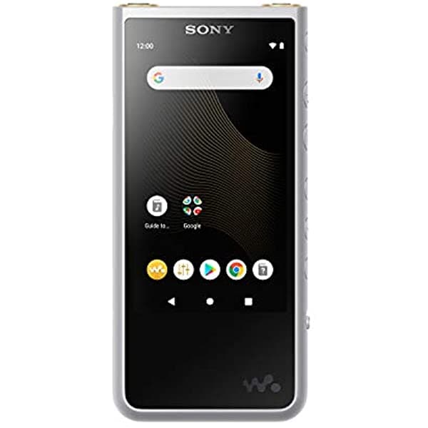 Sony Nw-Zx507/S Walkman Hi-Res Reproductor De Mp3 De 64 Gb Color Plateado