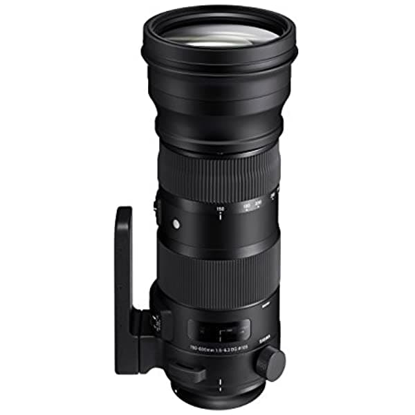 Sigma Lente Deportiva Dg Os Hsm De 5.906-23.622 In 5-6.3 Para Canon 740101