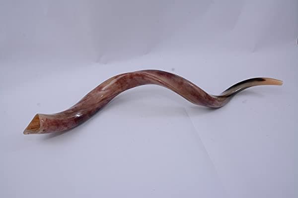 Yaliland Shofar Yemenita 48" Cuerno Kosher Pulido + Bolsa Gratis Desde Israel