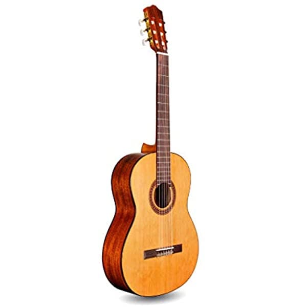 Cordoba C5 Lefty Serie Iberia Guitarra Acústica de Cuerdas de Nylon, Palisandro GUCLCOR-05046