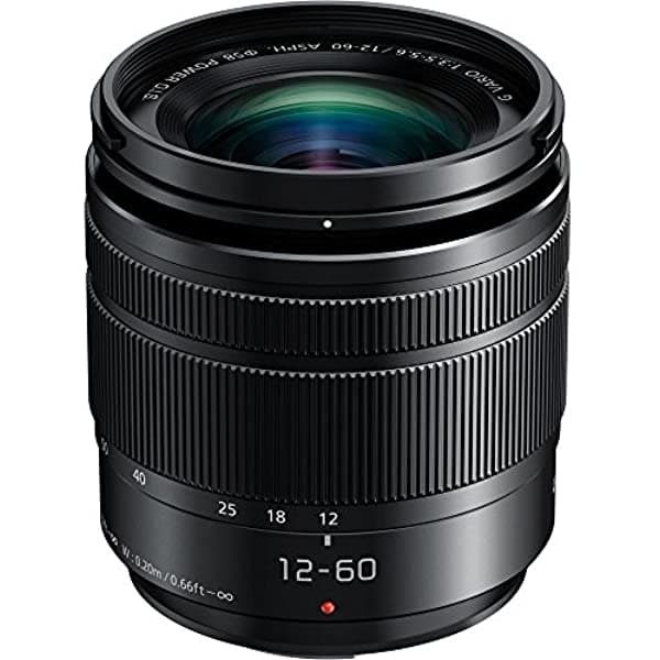 Panasonic Lumix G Vario 12 - 60 Mm F/3.5 - 5.6 Asph. Power O.I.S Lente No (Versión Internacional De Garantía) H-FS12060