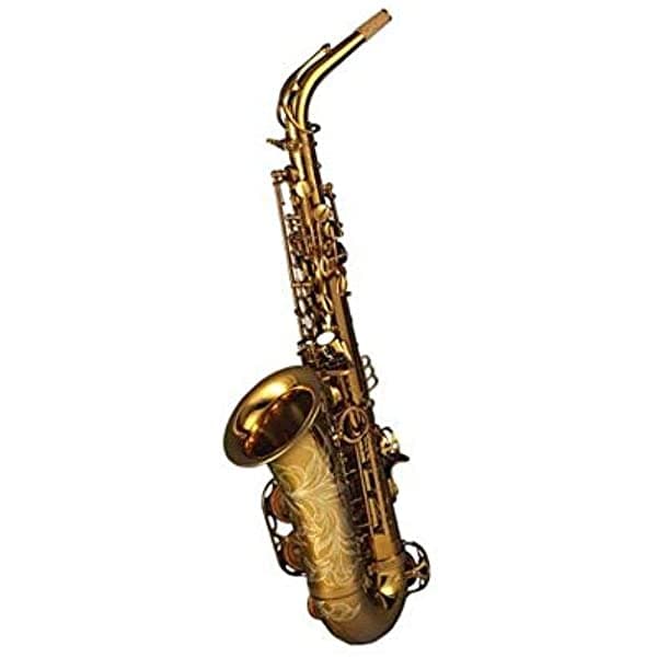 Saxofón Alto Wykdl Para Estudiantes Para Saxofón Alto Para Principiantes Para Niños Y Adultos jinshangtianhua1