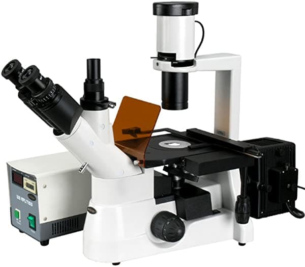 AmScope IN300T-FL Larga Distancia De Trabajo Invertido Fluorescencia Microscopio Trinocular 40X-400X WH10X Oculares Contraste De Fase Iluminación Halógena De 30 W 0.3 NA Condensador Platina Mecánica 110 V
