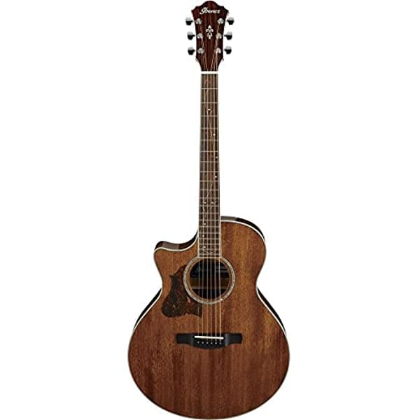 Ibanez Ae245 - Zurdo - Alto Brillo Natural