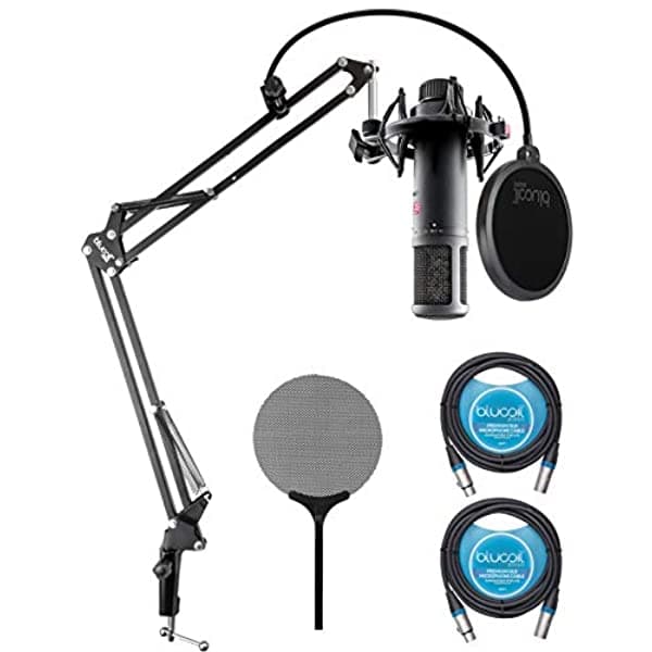 SE Electronics SE2200 micrófono condensador de diafragma grande voces guitarra electroacústica batería bundle Blucoil brazo boom más filtro pop y 2 cables XLR balanceados de 10 pies