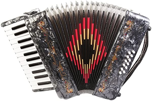 Rossetti 2512 Acordeón a Piano 12 Bajos 25 Teclas y Estuche Rígido Gris