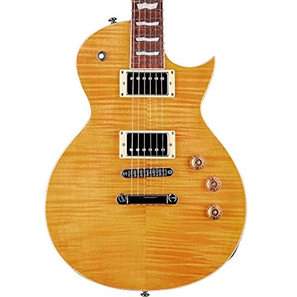 Esp Ltd Ec-256 Vn Guitarra Eléctrica LEC256VN