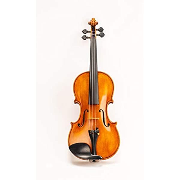 D Z Strad Modelo 4 4 Tamaño Completo 709 Violín Hecho A Mano Por Premio Luthiers Bam Case Bow Shoulder Y Rosin