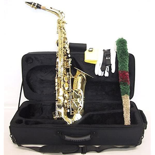 Sky Student Eb Alto Saxophon Case Y Accesorios