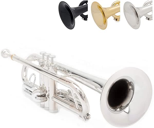 PINSTRUMENTS Pinstrument Ptrompet Hytech - Trompeta De Metal/Polímero - Boquilla Bolsa De Transporte Acolchada Peso Ligero Agarre Ergonómico Sonido Auténtico Bb Para Estudiantes Y Principiantes Construcción De Abs Resistente Color Plateado PTRUMPET1HTS/SILVER