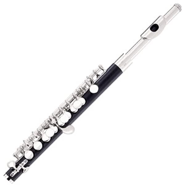 Armstrong Modelo De Estudiante 307 Piccolo