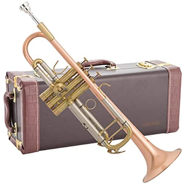 Singer'S Day Sdtr-2019Hd Trompeta De Latón Rosa Resistente Con Acabado Cepillado