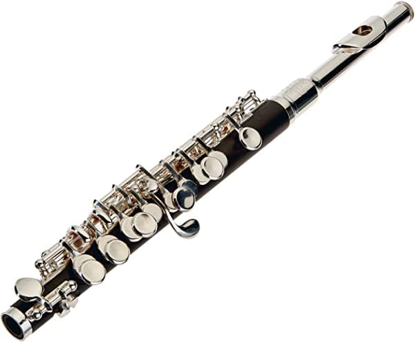 Roy Benson RBPC502 Piccolo Avanzado