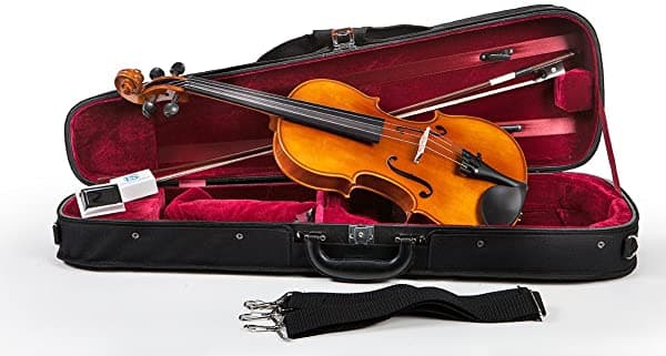 Samuel Eastman - Violín 4/4 VL100T