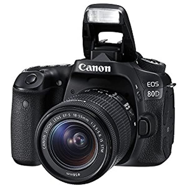 Canon EOS 80D Digital SLR Kit con EF-S 18-55mm f/3.5-5.6 lente IS STM (Modelo de EE.UU. Negro) 80D-18-55mm-US