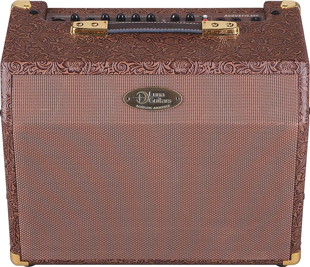 Luna Acústica Ambiente Guitarra Acústica Amplificador 25 Vatios AA 25