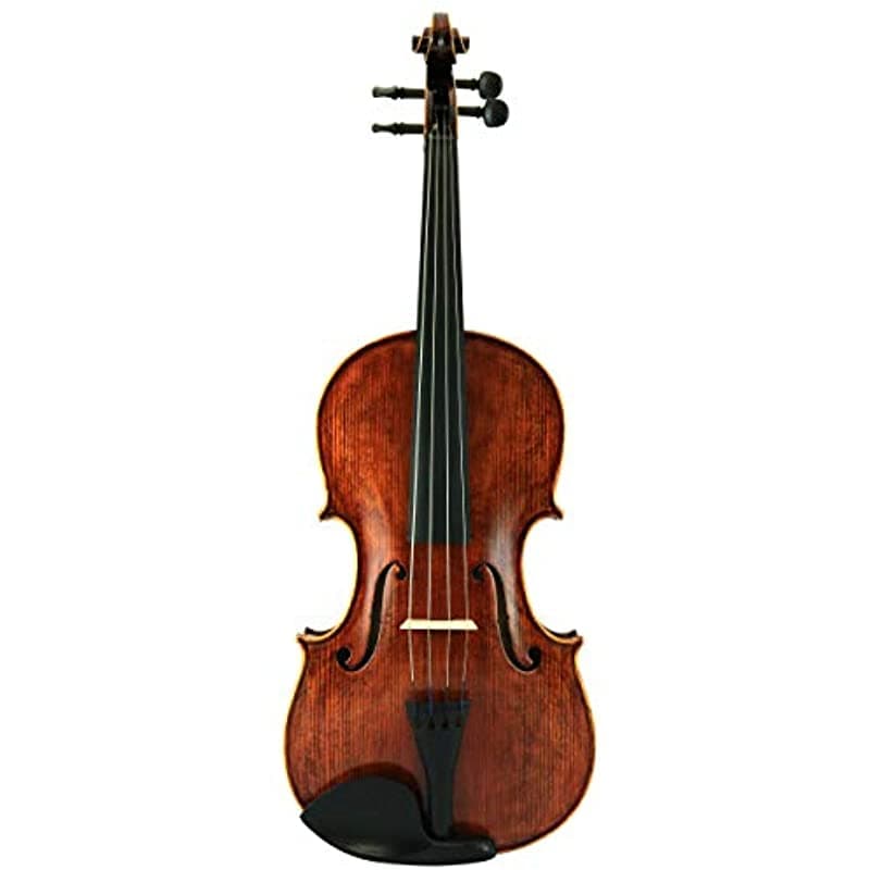 D'Luca PD02-16 Conjunto de Viola Hecha a Mano Serie Orquestal de 16 Pulgadas