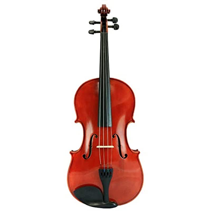 D'Luca Pdz02-16 Outfit Viola De La Serie De La Serie De 16 Pulgadas