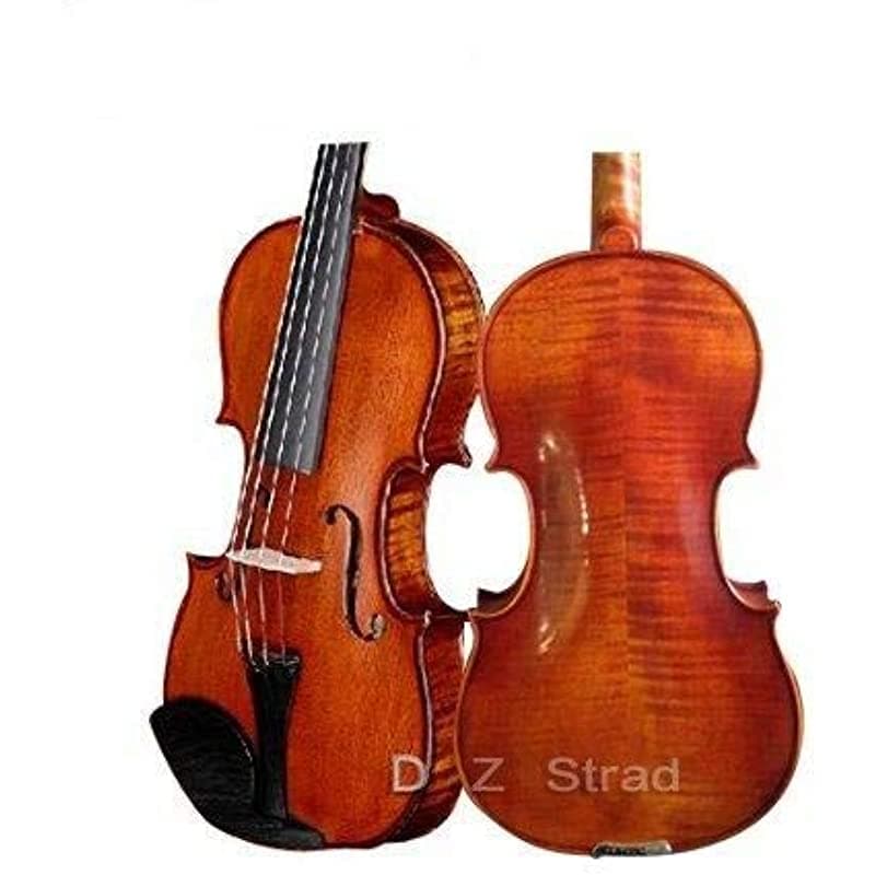 D Z Strad Violín 120 Con Funda Lazo Reposamuñecas Y Colofonia (Tamaño 1/16)