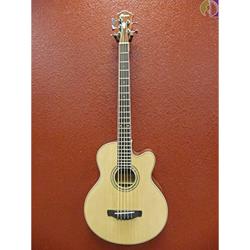 Ibanez Aeb105E - Bajo Acústico Eléctrico De 5 Cuerdas AEB105ENT