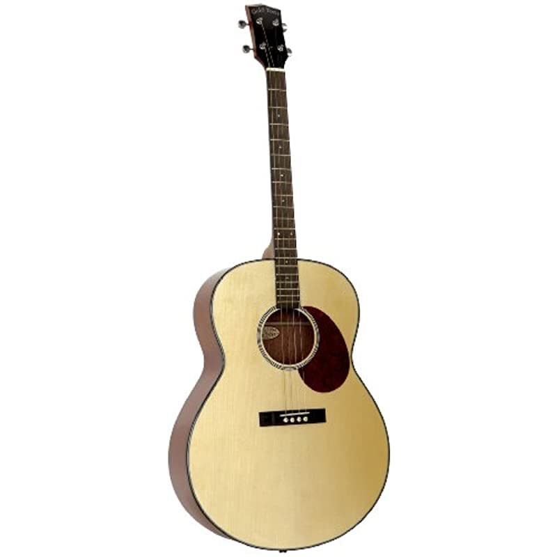 Gold Tone Tg-10 Tenor Guitarra 4 Cuerdas Natural