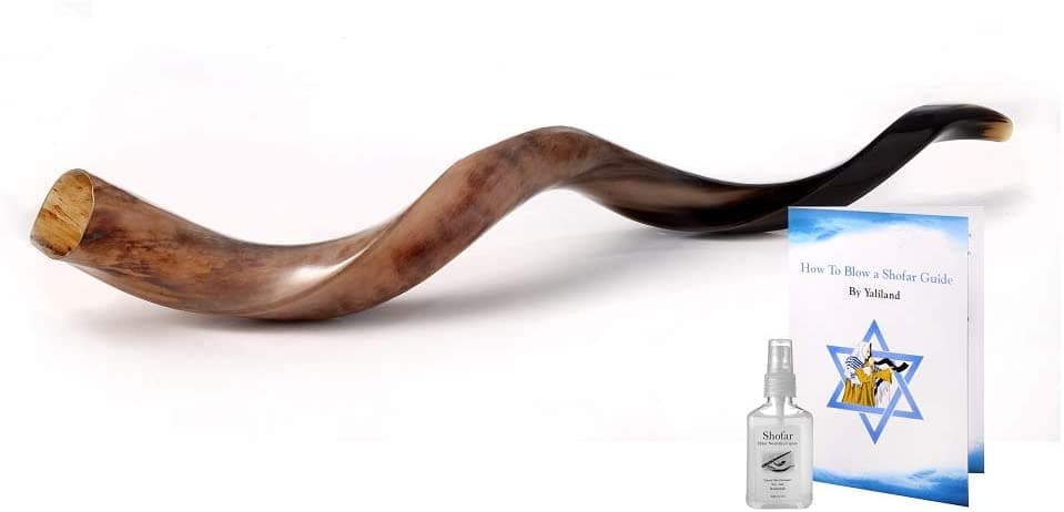 Yaliland Yemenite Kudu Horn Shofar Shofars Guía De Pulverización Anti Olor Libre Shofar De Israel 52-54 Polaco