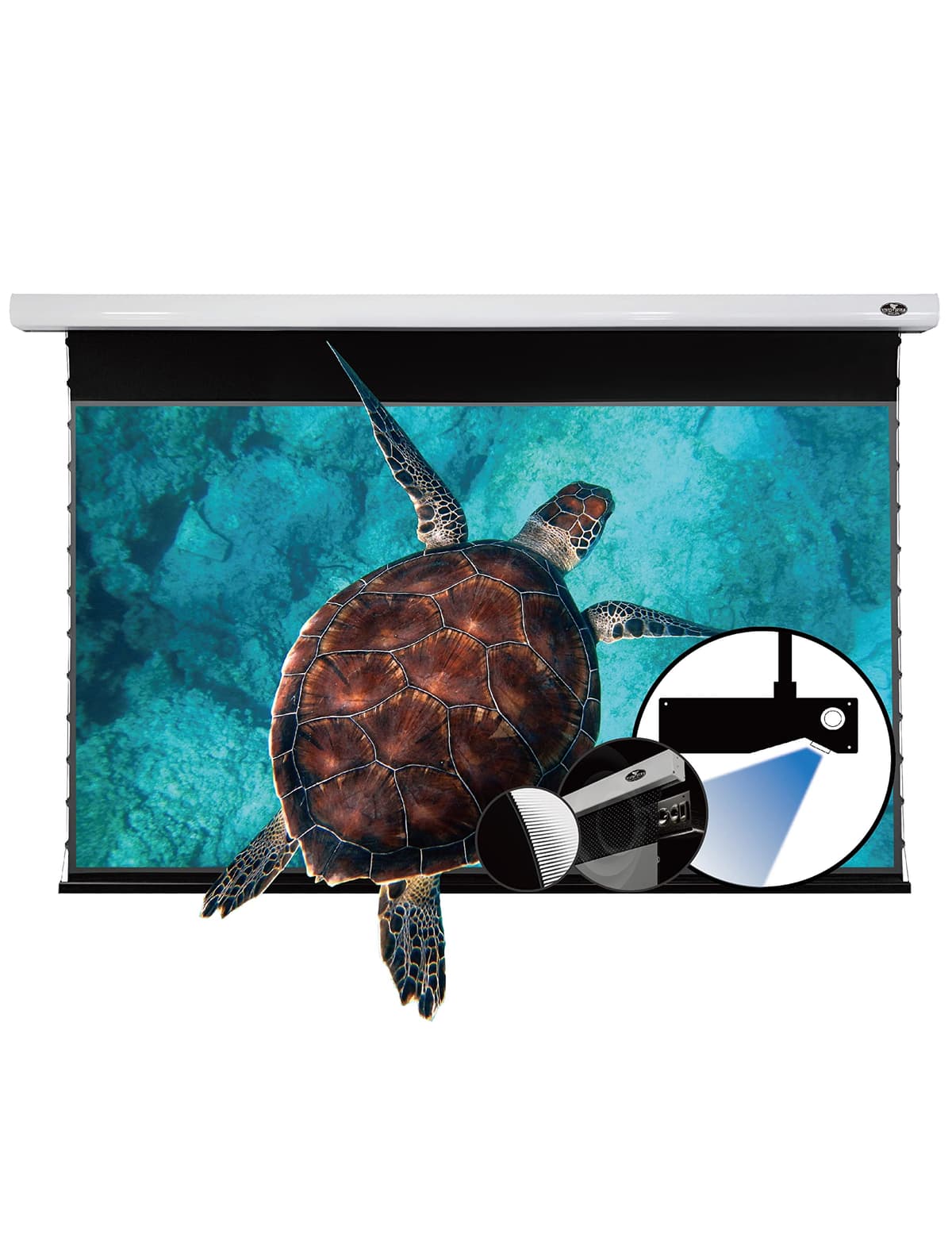 VIVID STORM SINCE 2004 VMLUST110HPA Pantalla Motorizada ALR UST Transparente al Sonido y Giro, Tensión Enrollable, Compatible con Proyector Láser UST, Efecto Visual Perfecto, VIVIDSTORM-ALR VMSLUST110HPA