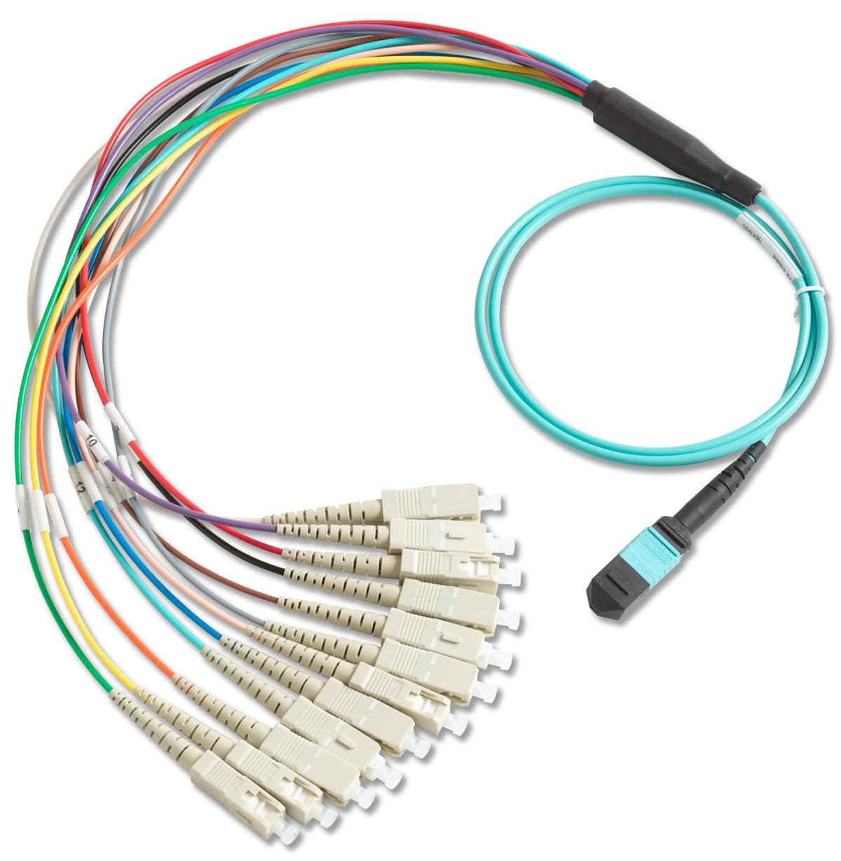 Fluke Networks BKC-MPO-USC Cable Breakout para Conector MPO a SC sin pines, 1 m, Accesorio para Probador de Fibra óptica