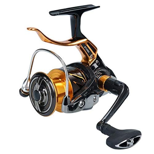 Daiwa Spinning Reel 19 Ragsas 3000LBD (2019)