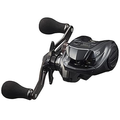 Daiwa Tierra IC 100H Carrete Baitcasting Ligero