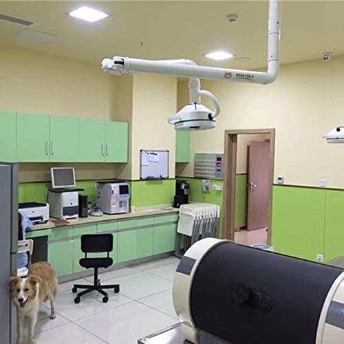 ele ELEOPTION Lámpara de Examen LED de Techo Profesional 36W 35,000 Lux CE para Procedimientos Médicos y Dentales