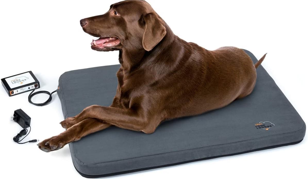 Sistema Assisi Loop Lounge (Grande) LL-SYSTEM-L-PLUSH