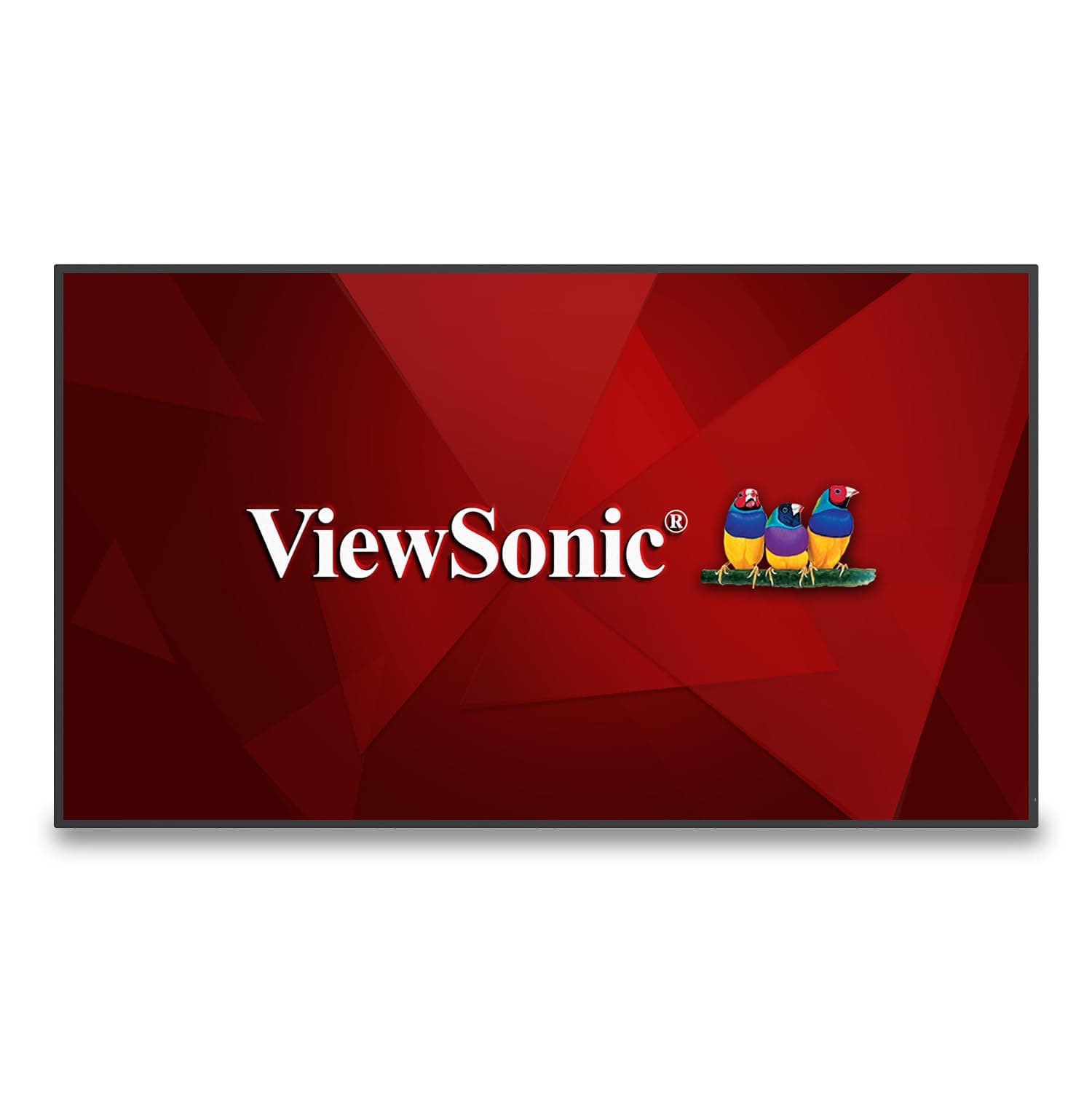ViewSonic CDE4330 43" 4K UHD Wireless Presentation